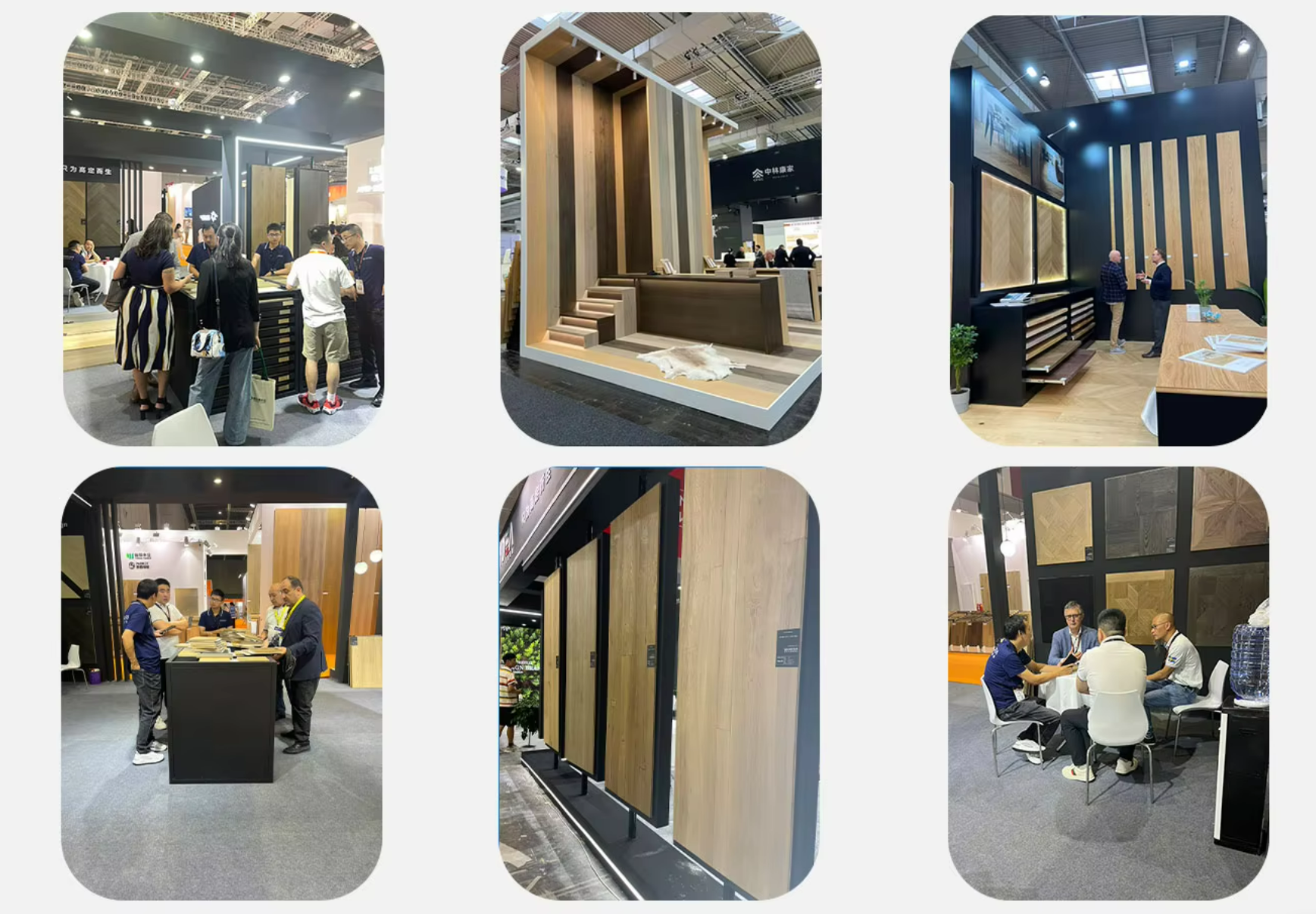 1740369978972923.png 33d5edd684dc419c44fba12ea31f72a.png